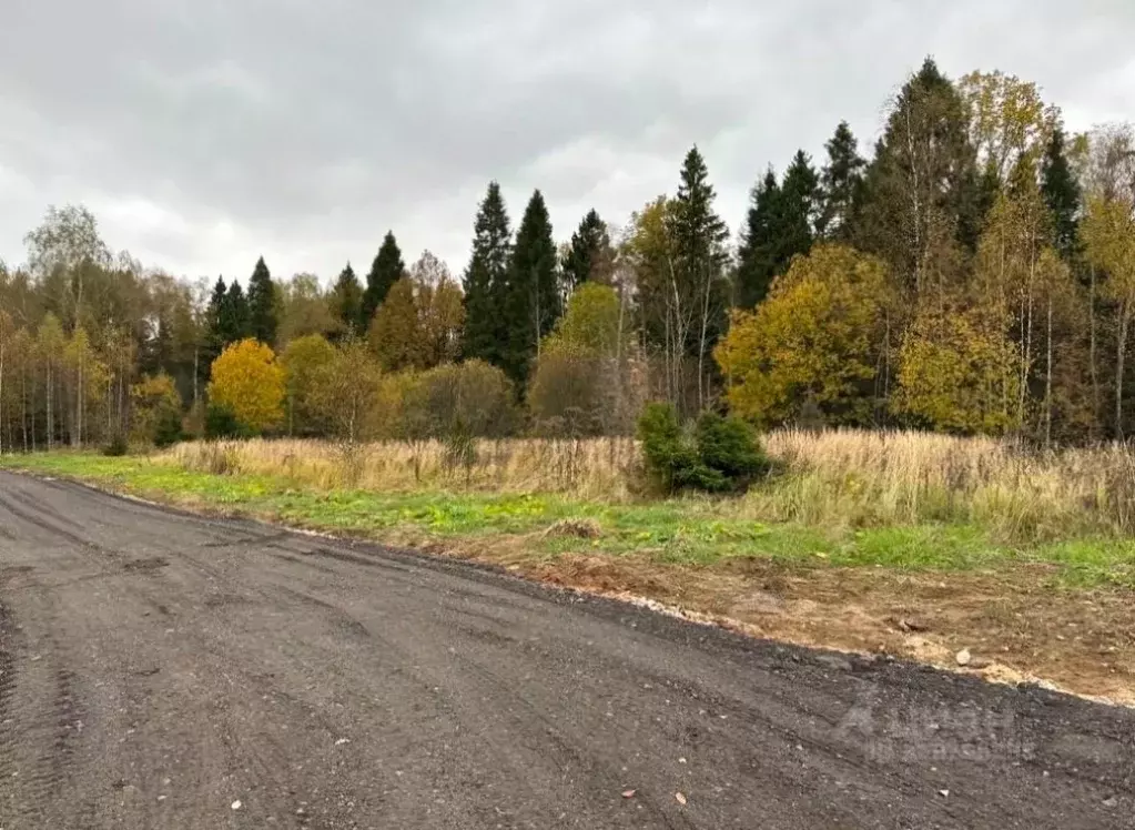 Участок в Московская область, Пушкинский городской округ, д. Михалево, ... - Фото 1