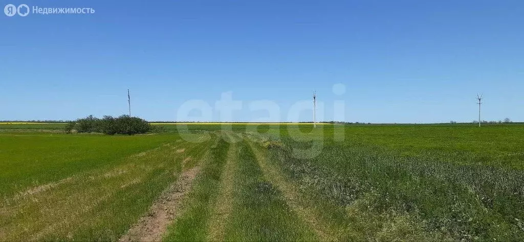 Участок в Черноморский район, село Межводное (17.58 м) - Фото 2