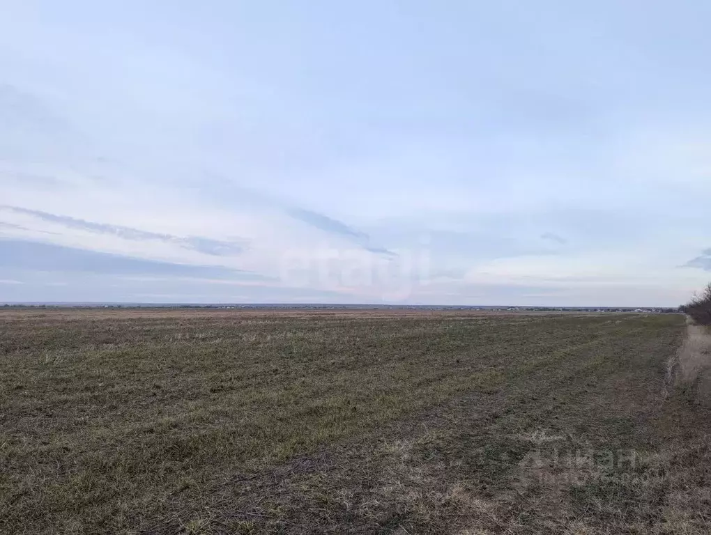 Участок в Крым, Первомайский район, Сусанинское с/пос, с. Ровное ул. ... - Фото 1