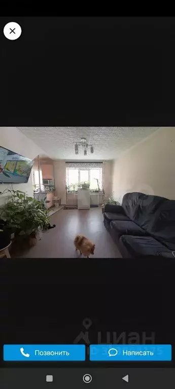 3-к кв. Башкортостан, Чишминский поссовет, Чишмы рп ул. Кирова, 1 ... - Фото 1