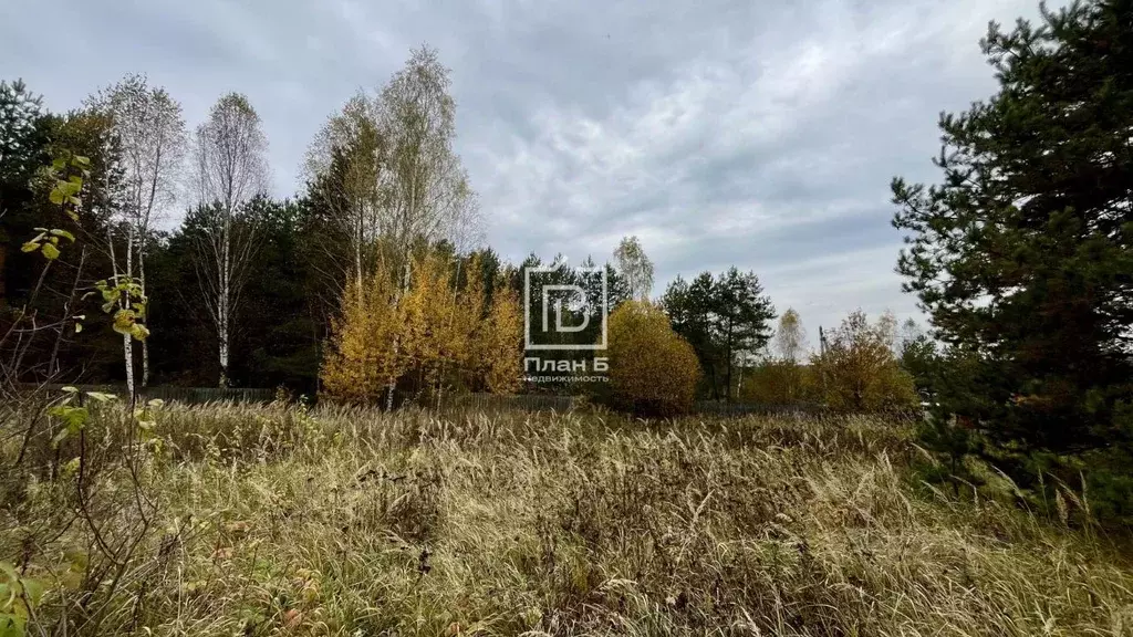 Участок в Калужская область, Дзержинский муниципальный округ, Льва ... - Фото 2