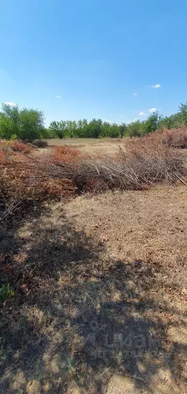 Участок в Ростовская область, Родионово-Несветайский район, ... - Фото 2
