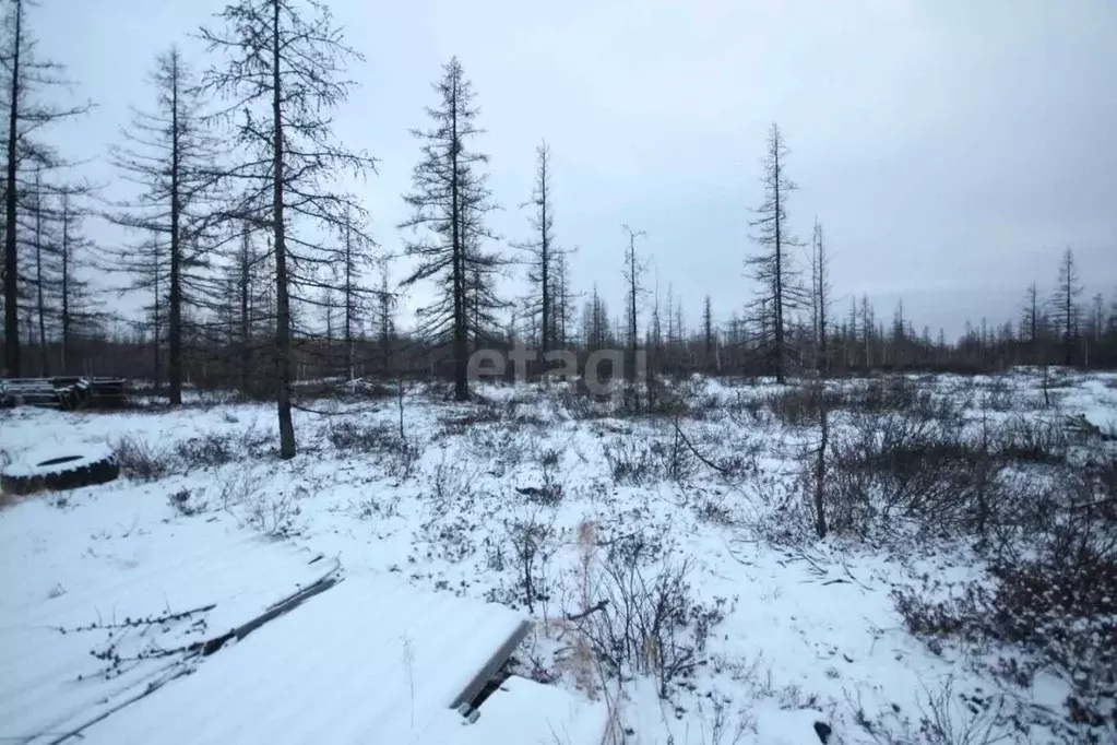 Участок в Ямало-Ненецкий АО, Новый Уренгой Титан ДНТ,  (6.7 сот.) - Фото 0