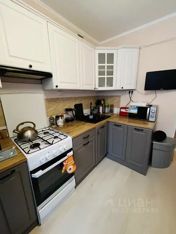 1-к кв. Санкт-Петербург ул. Стойкости, 15 (33.3 м) - Фото 2