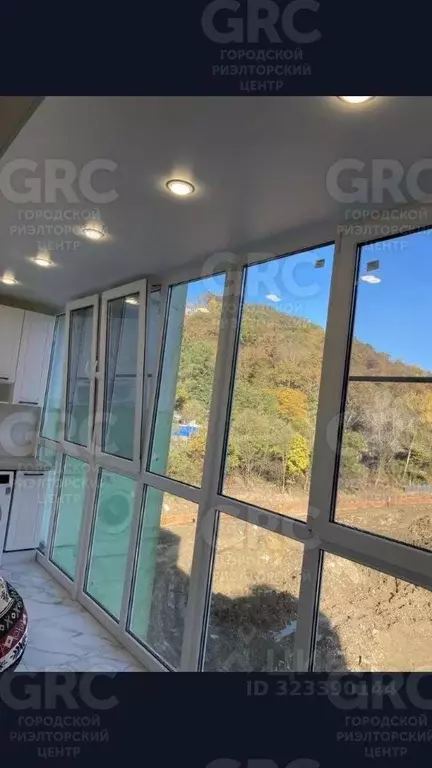 3-к кв. Краснодарский край, Сочи городской округ, с. Раздольное ул. ... - Фото 1