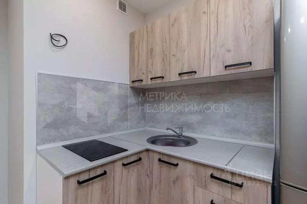 Студия Тюменская область, Тюменский муниципальный округ, д. Патрушева ... - Фото 2