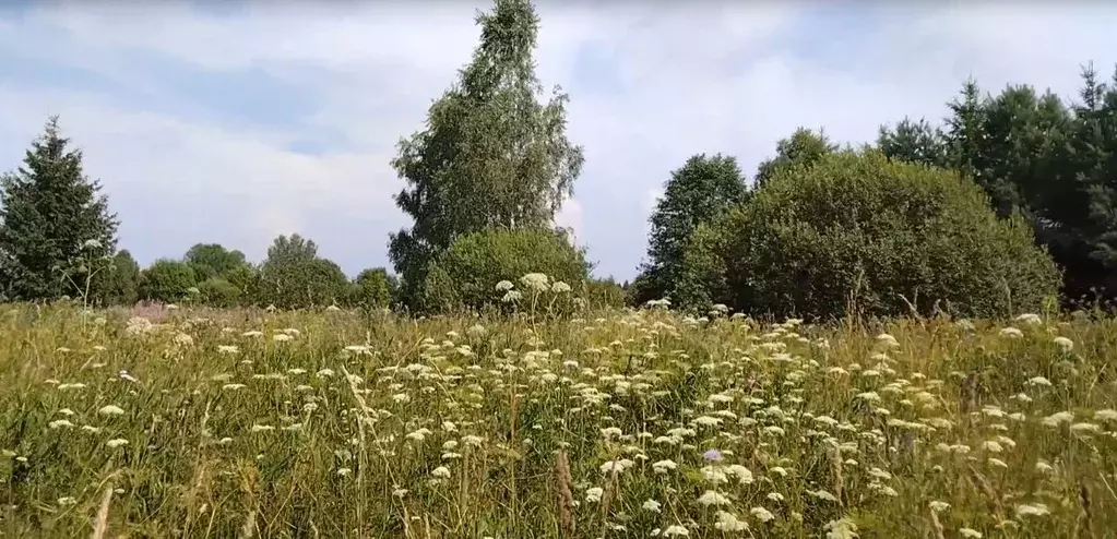 Участок в Московская область, Наро-Фоминский городской округ, д. ... - Фото 0