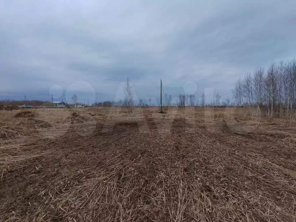 Участок 18 сот. (СНТ, ДНП) - Фото 0