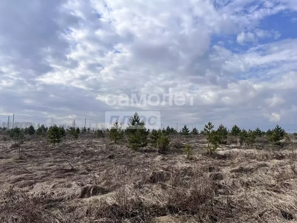 Участок в Липецкая область, Задонский муниципальный округ, с. Казино  ... - Фото 1