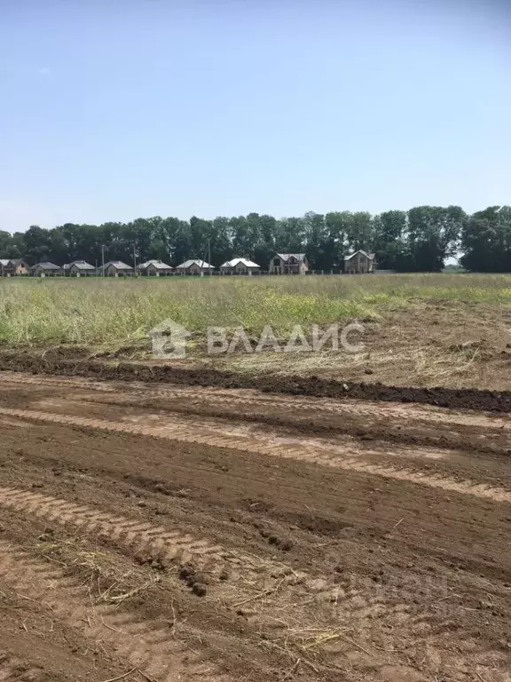 Участок в Краснодарский край, Краснодар Старокорсунская ст-ца, проезд ... - Фото 0