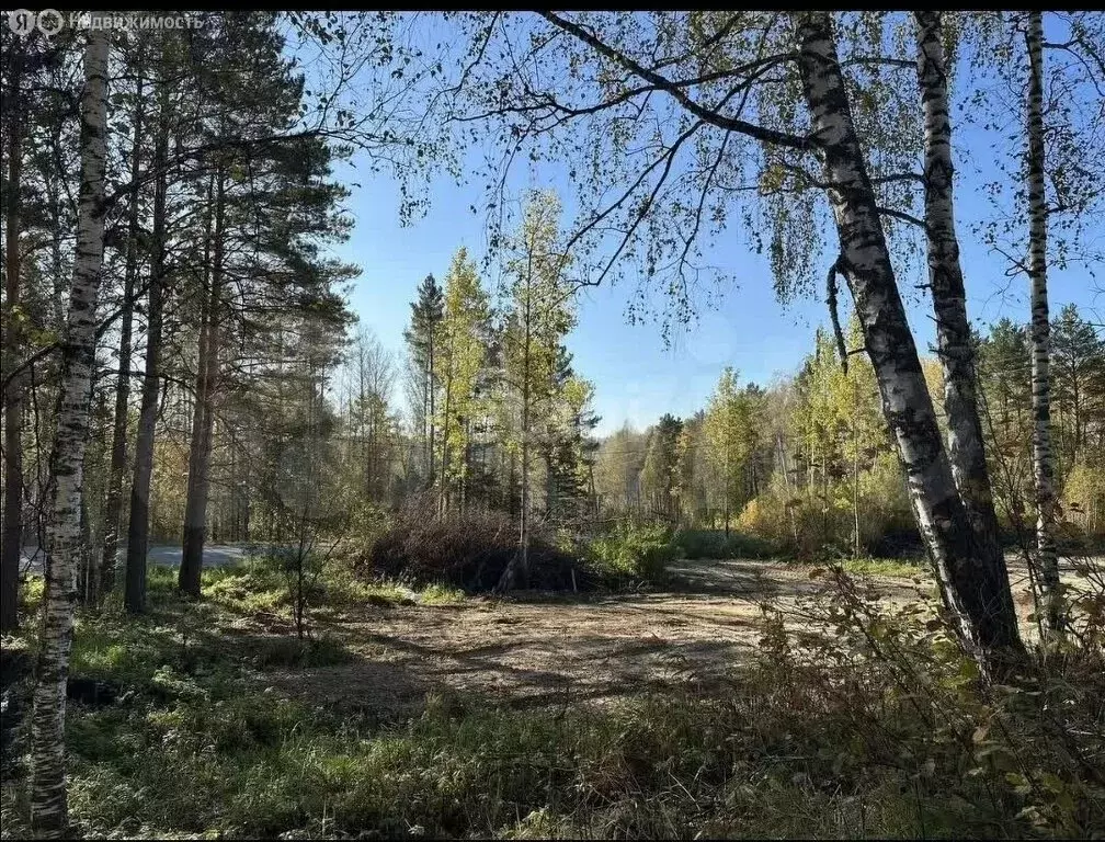 Участок в село Богашёво, Южная улица (15 м) - Фото 1