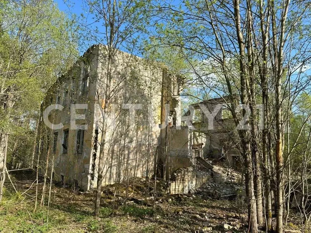 Участок в Ленинградская область, Выборгский район, Каменногорское ... - Фото 0