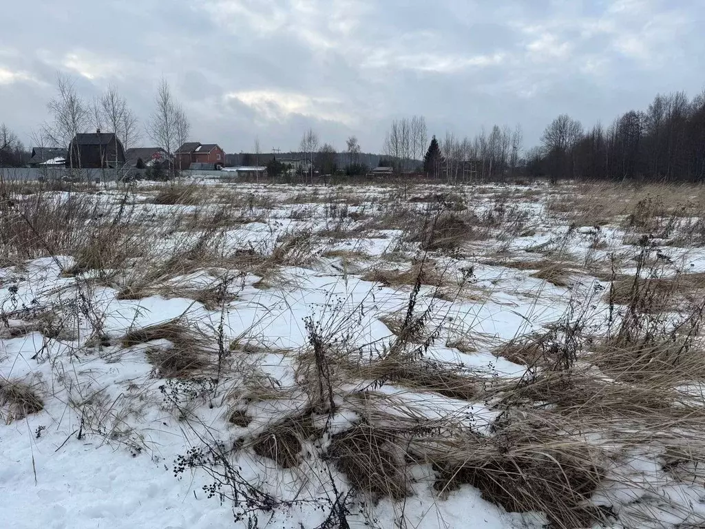 Участок в Московская область, Богородский городской округ, д. Ново ул. ... - Фото 0