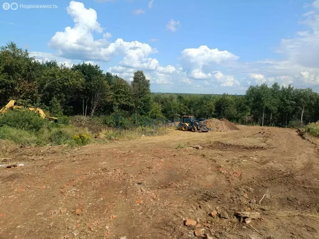 Участок в Афонино, Родниковая улица, 28 (6 м) - Фото 0