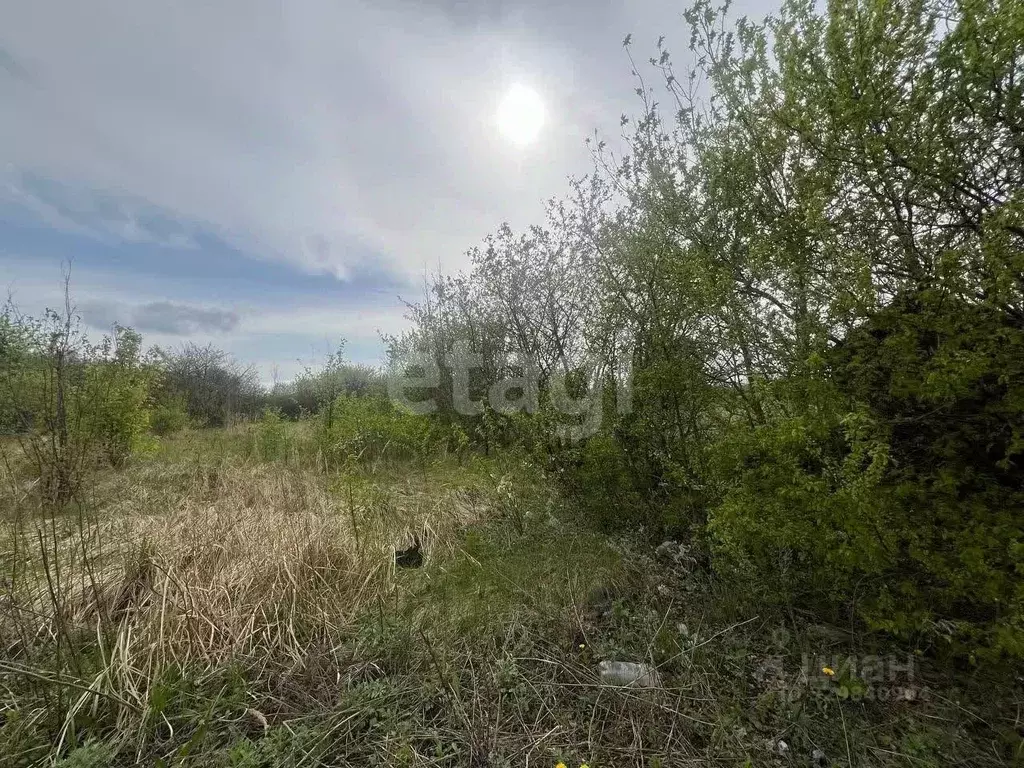 Участок в Белгородская область, Белгород Незабудка садовое ... - Фото 1