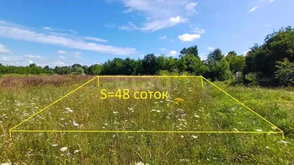 Участок в Брянская область, Выгоничский район, Орменское с/пос, д. ... - Фото 2