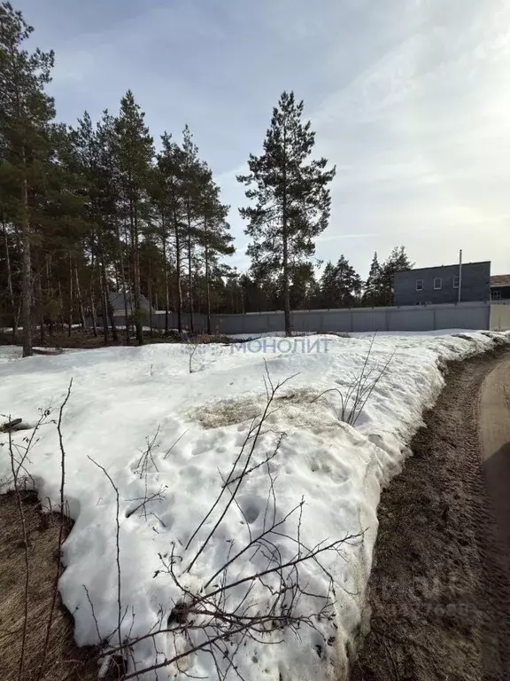 Участок в Нижегородская область, Дзержинск  (10.0 сот.) - Фото 2