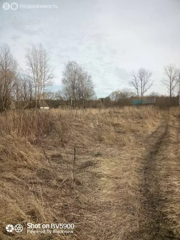 Участок в Гусь-Хрустальный район, муниципальное образование ... - Фото 0