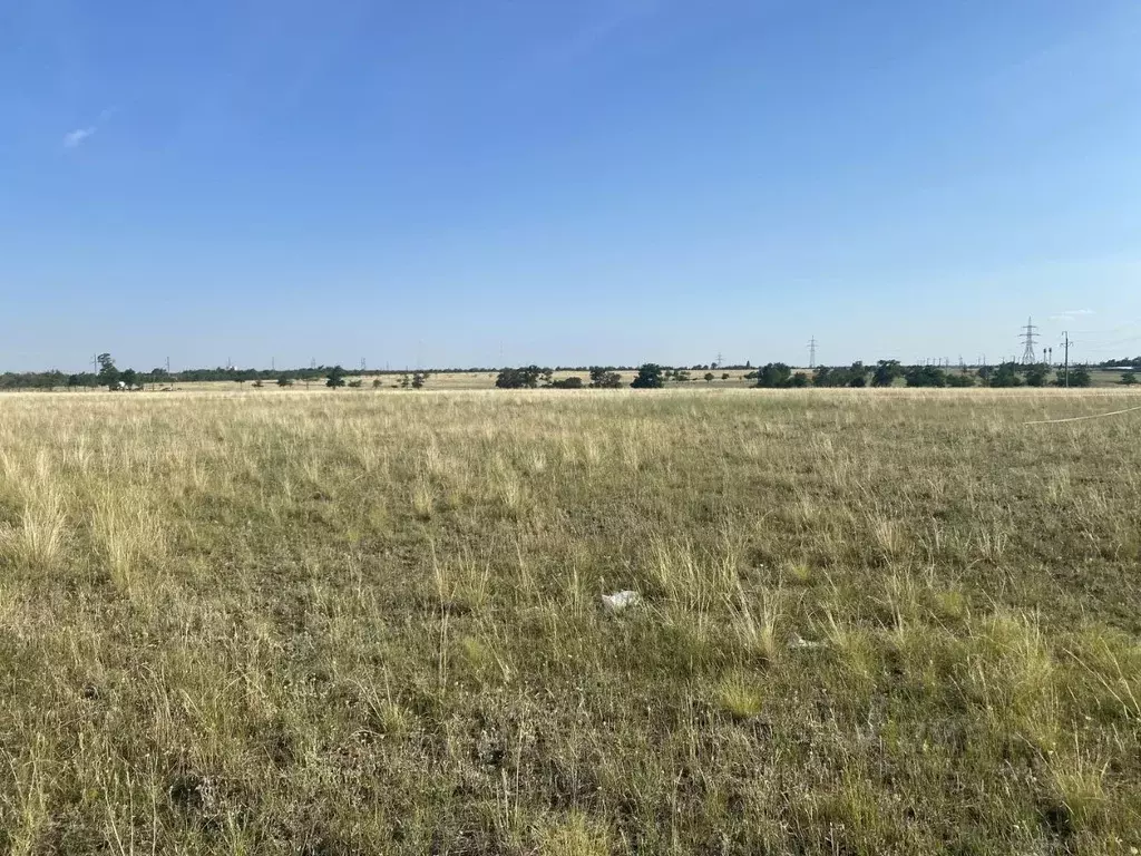 участок в волгоградская область, городищенский район, царицынское . - Фото 0