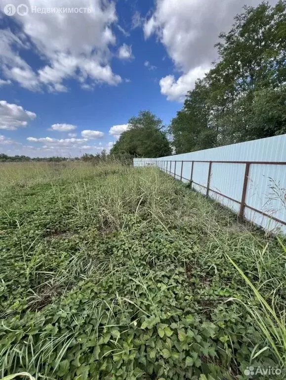 Участок в Львовское, улица Свердлова, 86 (20 м) - Фото 2