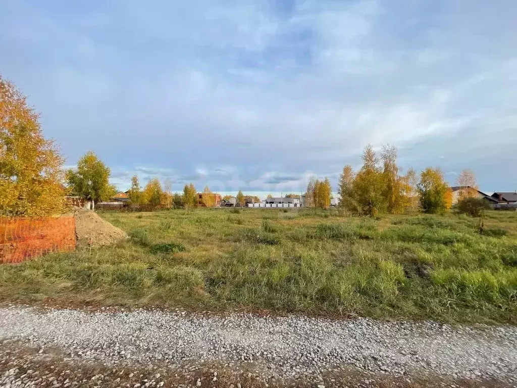 Участок в Новосибирская область, Новосибирский район, Морской ... - Фото 1