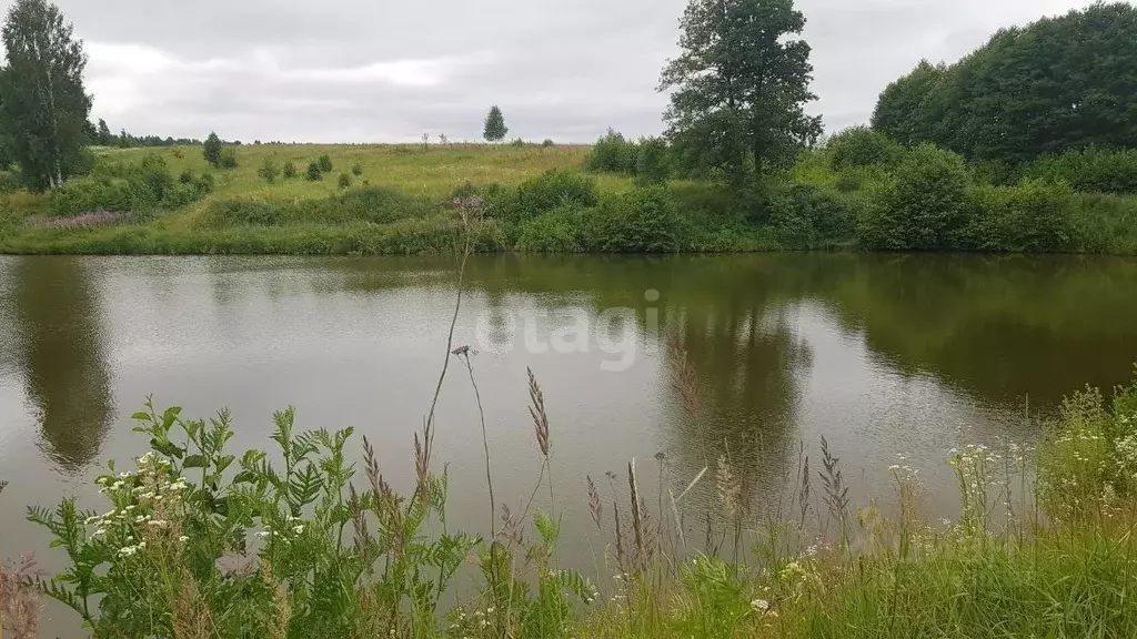 Участок в Брянская область, Жуковский муниципальный округ, д. Упрусы  ... - Фото 2