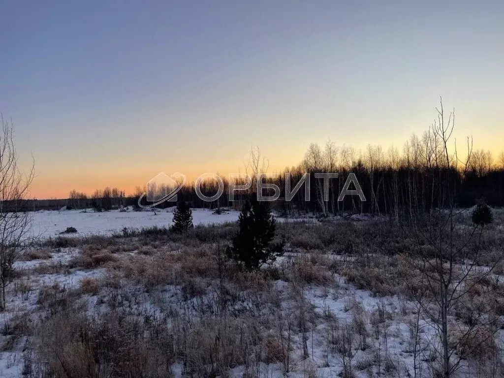 Участок в Тюменская область, Тюменский муниципальный округ, д. ... - Фото 2