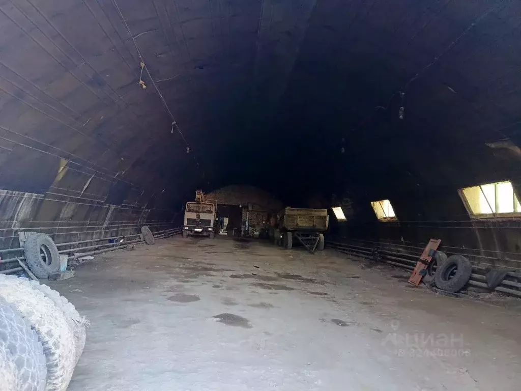 Гараж в Оренбургская область, с. Курманаевка ул. Крестьянская, 1А (395 ... - Фото 1