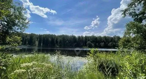 Участок в Новгородская область, Валдайский район, Едровское с/пос, д. ... - Фото 1