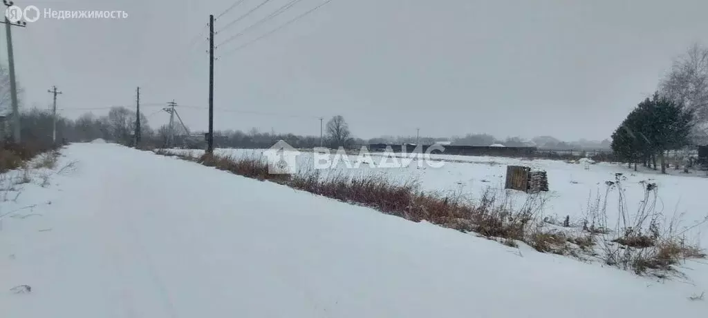 Участок в Суздальский район, муниципальное образование Селецкое, село ... - Фото 0