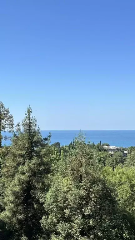 1-к кв. Краснодарский край, Сочи Новый Сочи мкр, ул. Пирогова, 20 ... - Фото 1