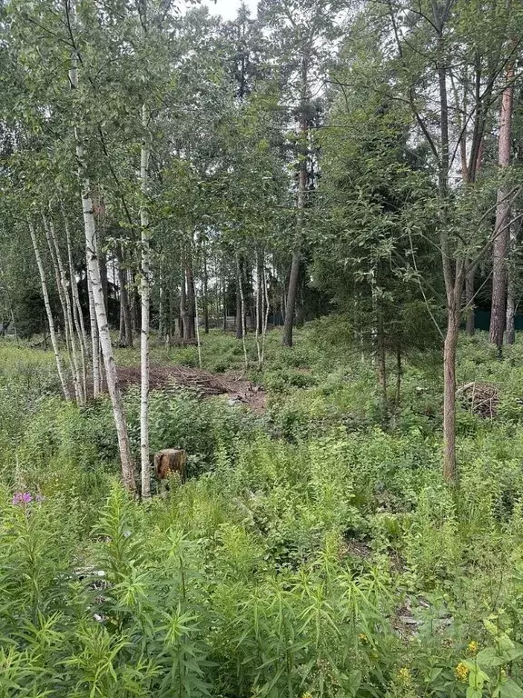 Участок в Московская область, Красногорск городской округ, д. ... - Фото 1