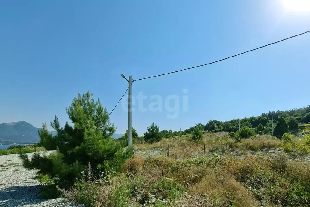 Участок в Краснодарский край, Геленджик городской округ, с. ... - Фото 1