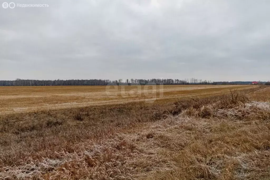 Участок в Ишим, улица Валерия Медведева (7.4 м) - Фото 1