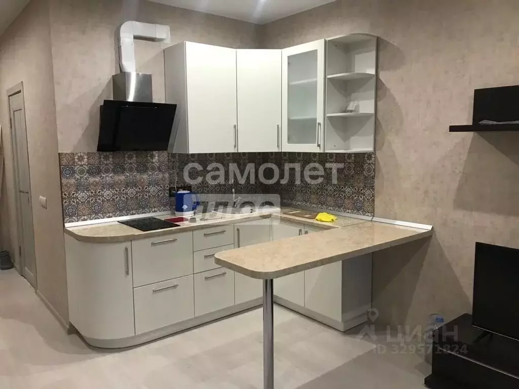 Студия Московская область, Щелково Финский мкр, 11к1 (26.8 м) - Фото 1