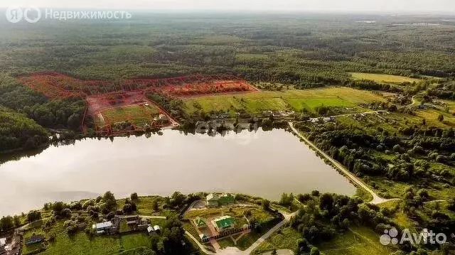 Участок в Брянская область, Жуковский муниципальный округ, село ... - Фото 1