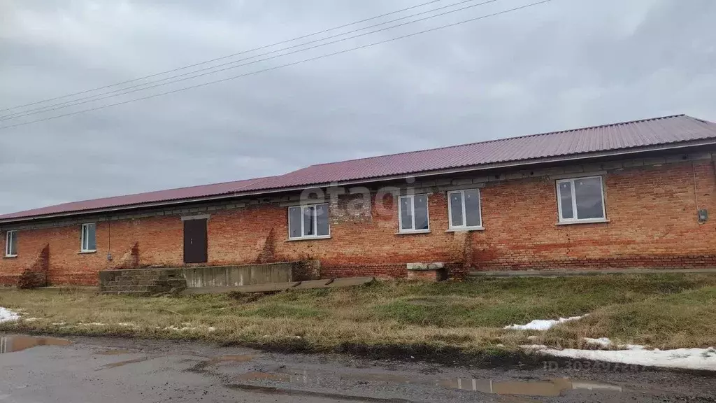 Помещение свободного назначения в Белгородская область, ... - Фото 1