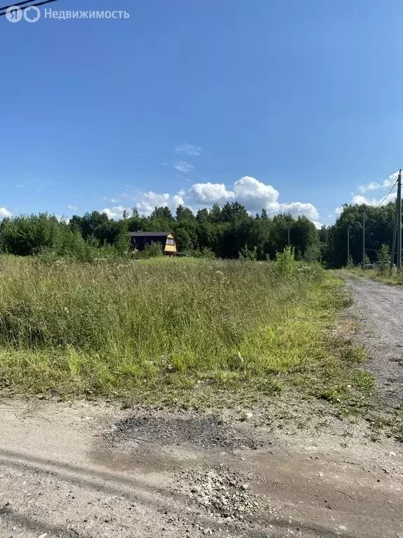 Участок в Ломоносовский район, Лопухинское сельское поселение, деревня ... - Фото 0