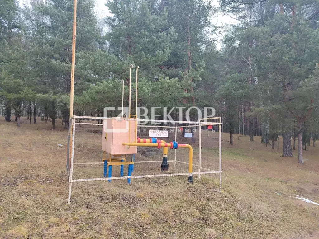 Участок в Ярославская область, Ярославль Мелиоратор СНТ, дорожка 15-я, ... - Фото 1