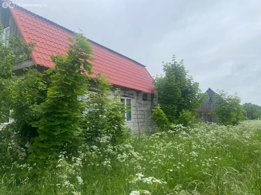 Участок в Псковская область, городское поселение Гдов, деревня ... - Фото 1