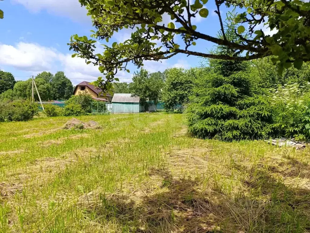 Участок в Смоленская область, Смоленск Декоративные Культуры ... - Фото 2