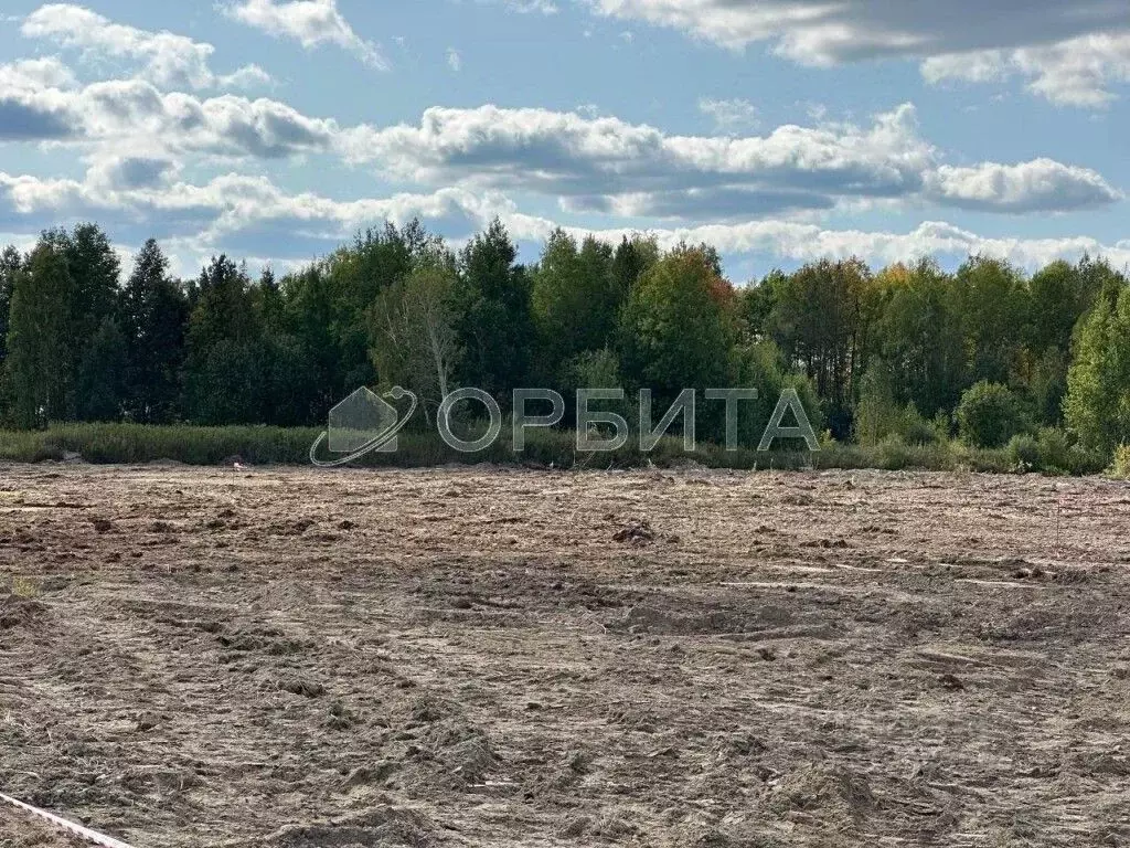 Участок в Тюменская область, Нижнетавдинский район, с. Тюнево  (10.0 ... - Фото 0