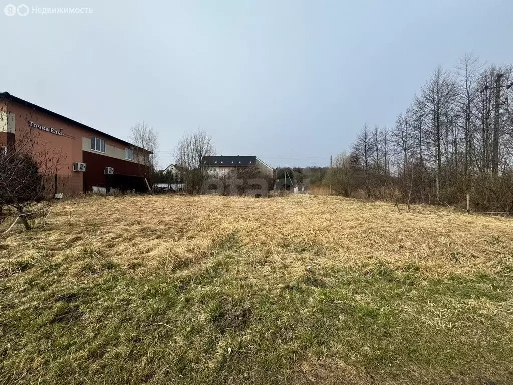 Участок в Калининградская область, Зеленоградский муниципальный округ, ... - Фото 1