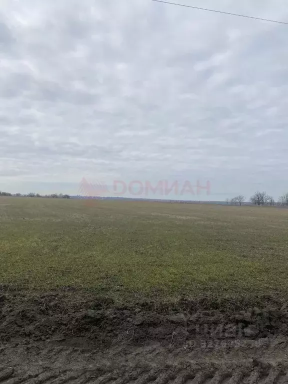 Участок в Ростовская область, Аксайский район, Старочеркасская ст-ца ... - Фото 2