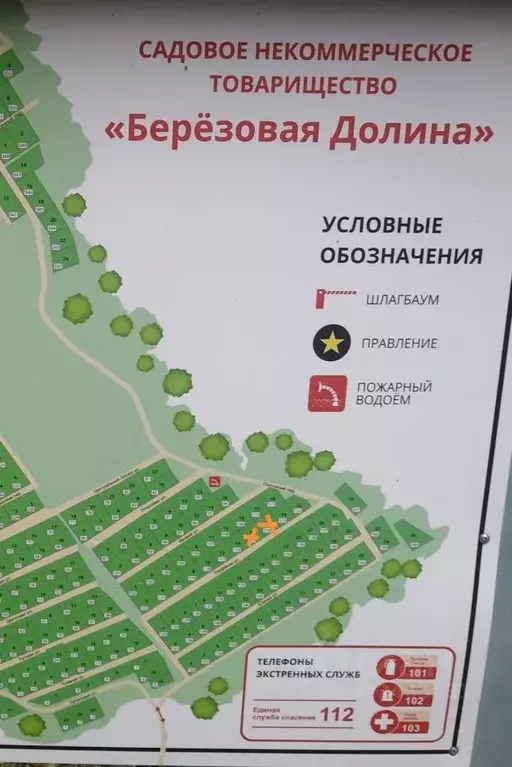 Участок в Ленинградская область, Выборгский район, Советское городское ... - Фото 1