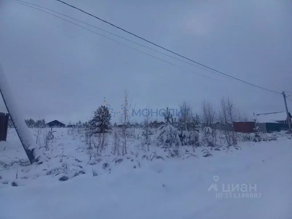 Участок в Нижегородская область, Богородский муниципальный округ, д. ... - Фото 1