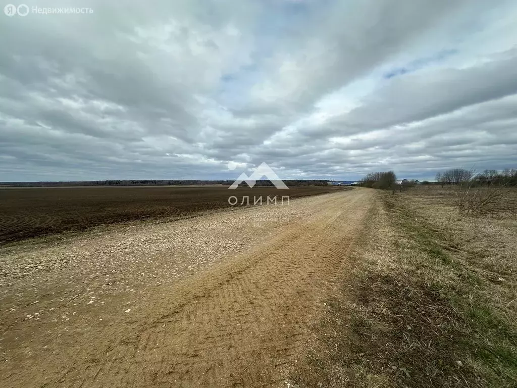 Участок в Ярославский муниципальный округ, село Андроники (1491 м) - Фото 2