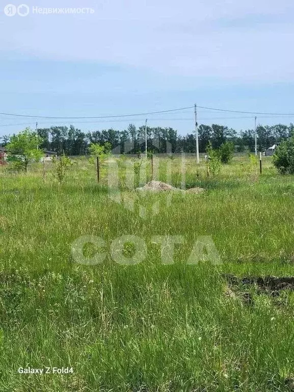 Участок в село Новая Усмань, улица Кулибина (1000 м) - Фото 1