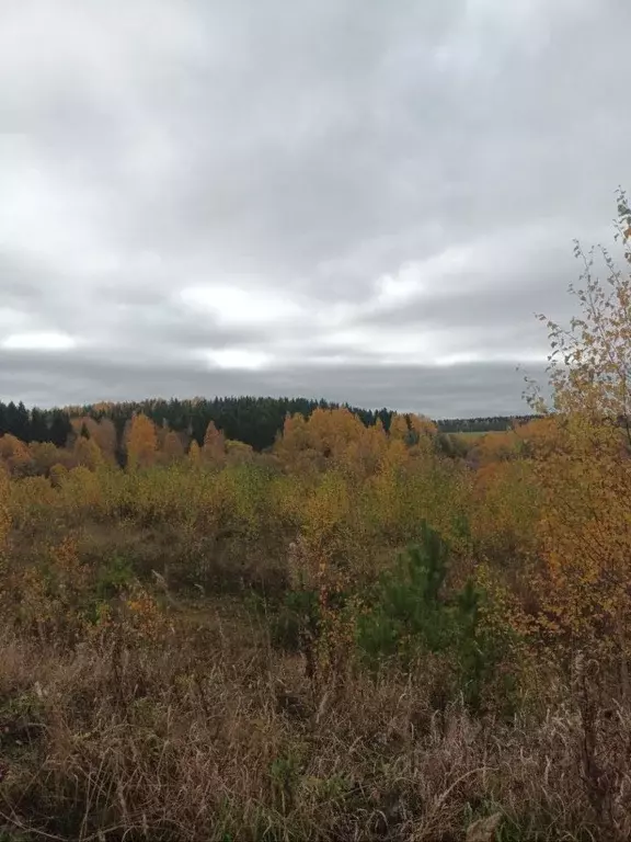 Участок в Коми, Сыктывкар ул. Валентины Витязевой (8.7 сот.) - Фото 0