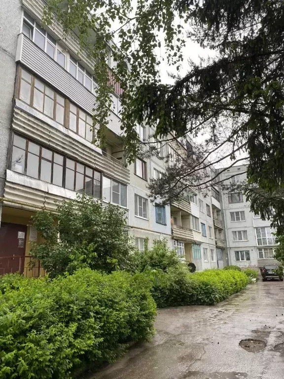 2-к кв. Псковская область, Палкино рп ул. Островская, 6 (54.0 м) - Фото 1